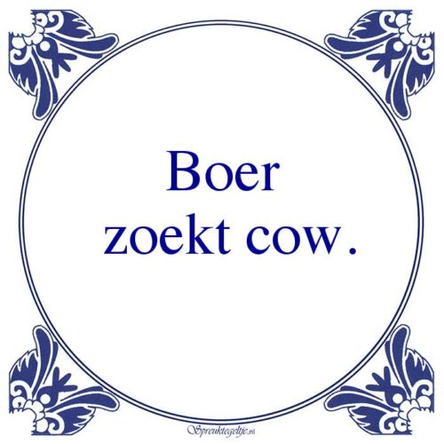 Algemeen-Boer zoekt cow.