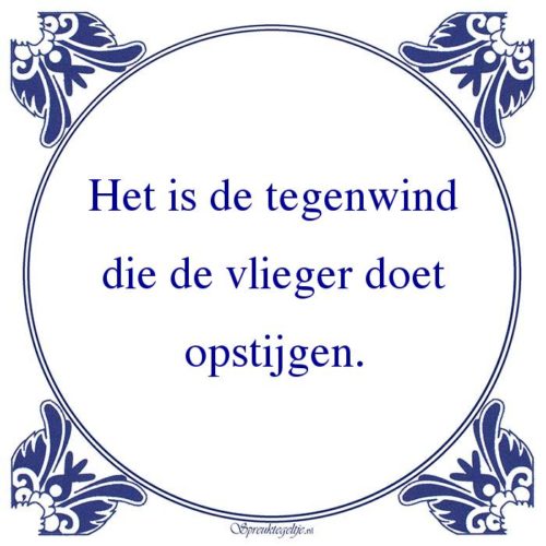 Algemeen-Het is de tegenwinddie de vlieger doetopstijgen.