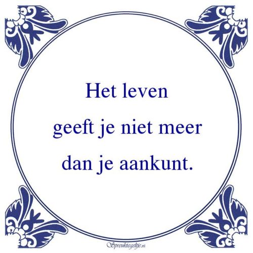 Algemeen-Het levengeeft je niet meerdan je aankunt.