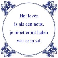 Algemeen-Het levenis als een neus