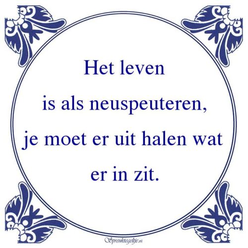 Algemeen-Het levenis als neuspeuteren