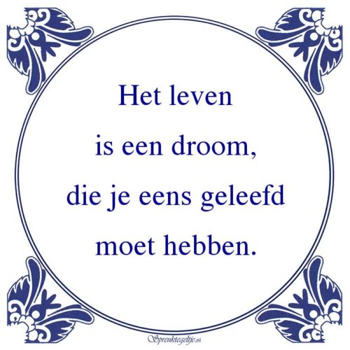 Algemeen-Het levenis een droom