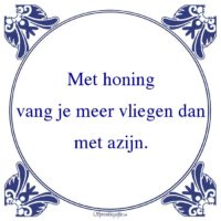 Algemeen-Met honingvang je meer vliegen danmet azijn.