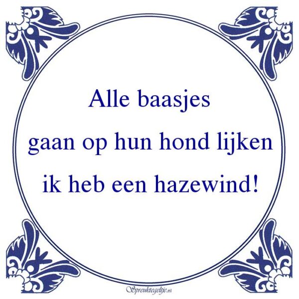 Alle baasjes gaan op hun hond lijken ik heb een hazewind!