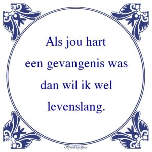 Als jou hart een gevangenis was dan wil ik wel levenslang.